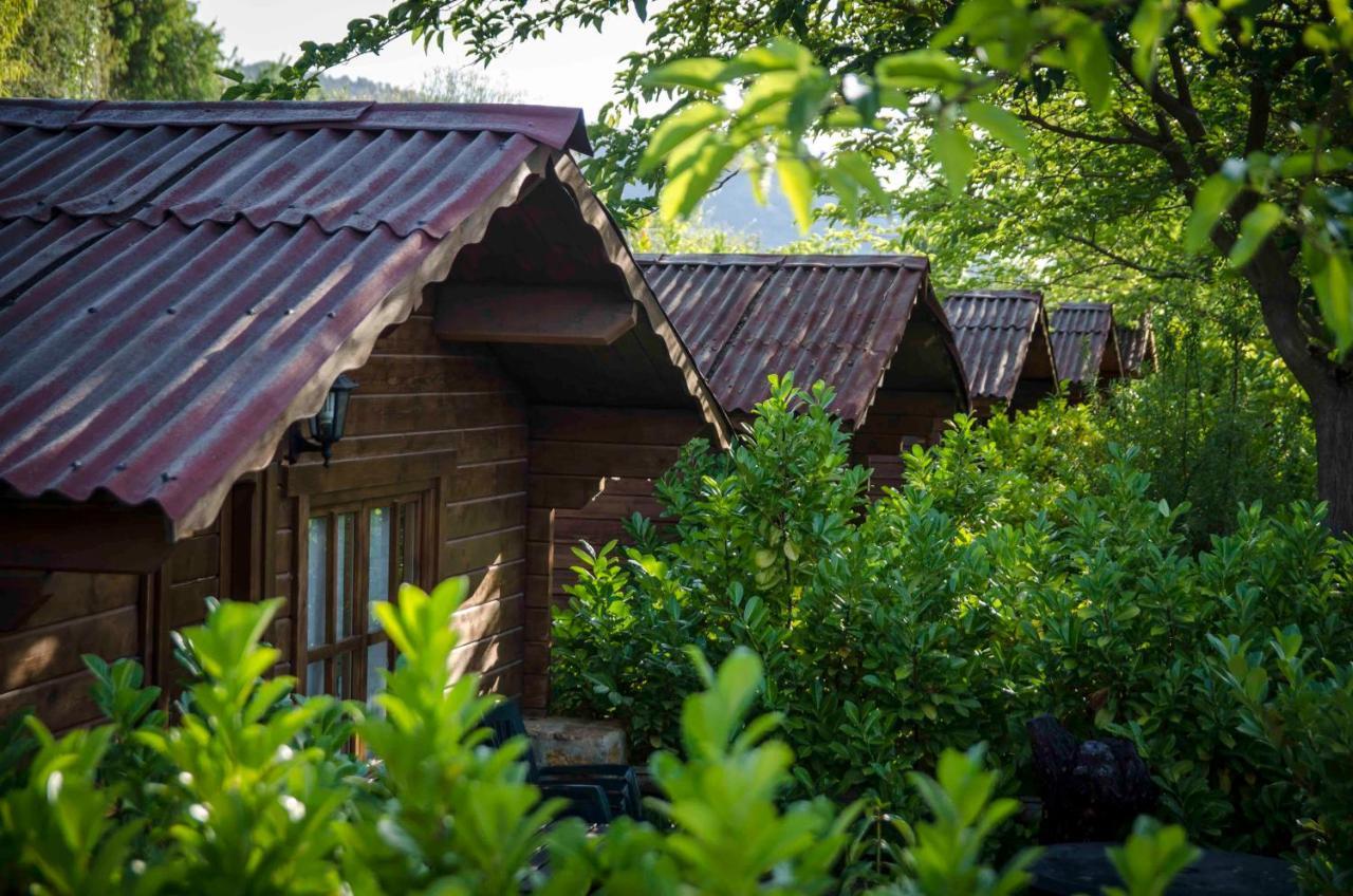 Fuente Del Lobo Glamping & Bungalows - Adults Only Pinos Genil Exterior photo