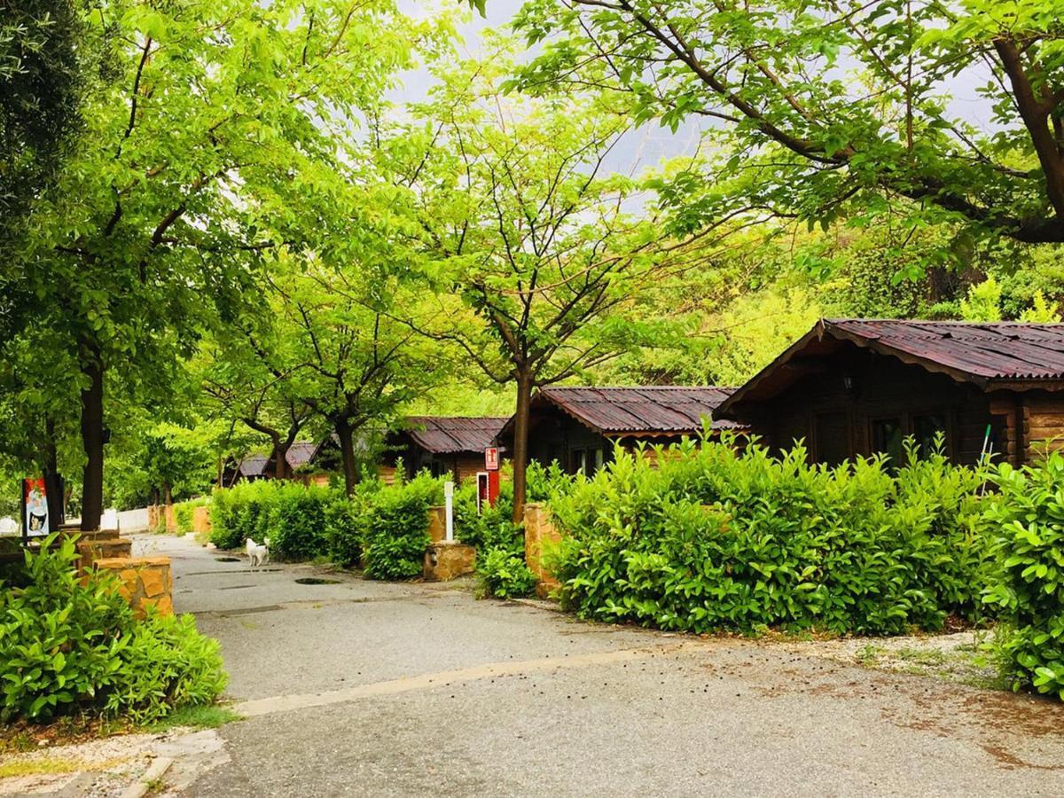 Fuente Del Lobo Glamping & Bungalows - Adults Only Pinos Genil Exterior photo