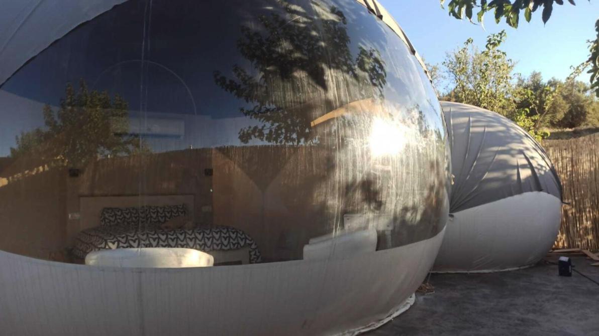 Fuente Del Lobo Glamping & Bungalows - Adults Only Pinos Genil Exterior photo
